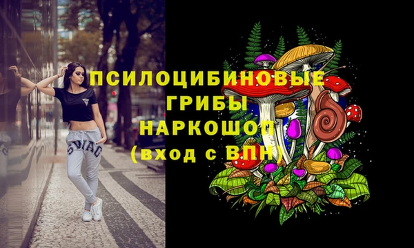 apvp Алексеевка