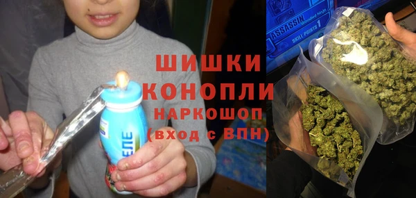 амф Алексин