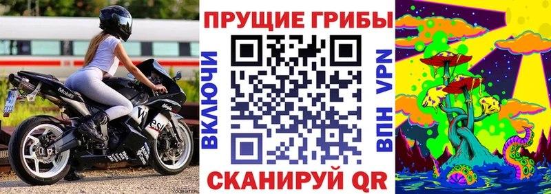 Галлюциногенные грибы Psilocybine cubensis мега зеркало Прохладный